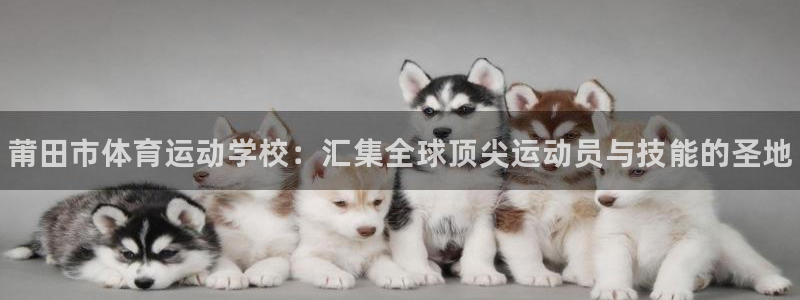 3377体育官网下载平台：莆田市体育运动学校：汇集全