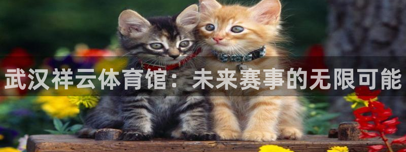 海南3377体育官网下载：武汉祥云体育馆：未来赛事的