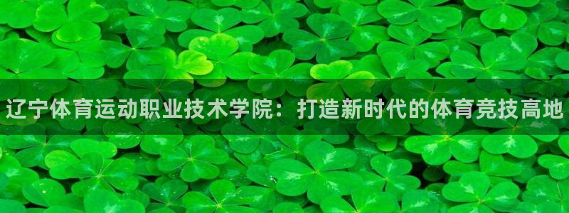 3377体育官方正版app集团简介：辽宁体育运动职业
