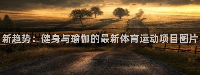 3377体育官方正版app娱乐代理怎么样：新趋势：健