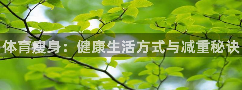 3377体育官方正版app集团简介：体育瘦身：健康生