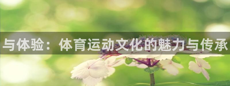 3377体育官网下载注册：与体验：体育运动文化的魅力