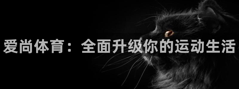 3377体育官方正版app娱乐：爱尚体育：全面升级你