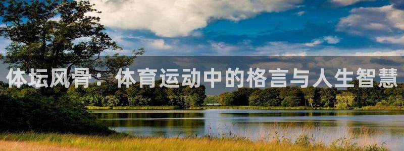 3377体育官方正版app科技：体坛风骨：体育运动中