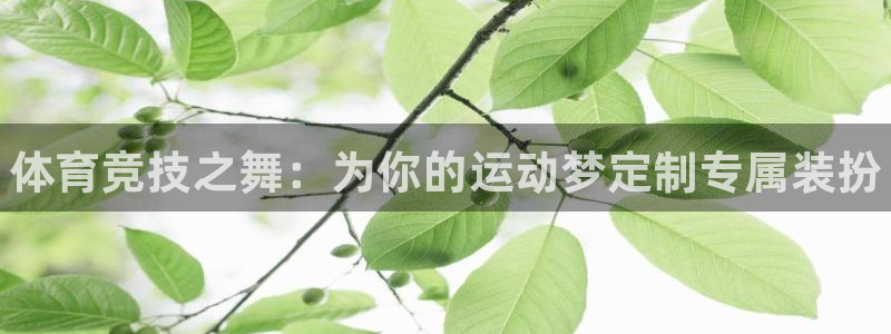 3377体育官网下载注册：体育竞技之舞：为你的运动梦