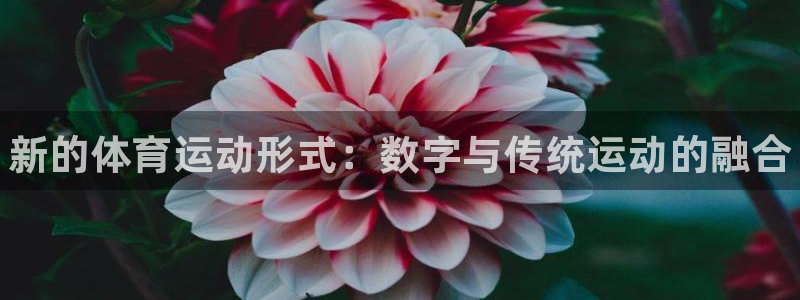 3377体育官方正版app娱乐是那个系列的台子：新的