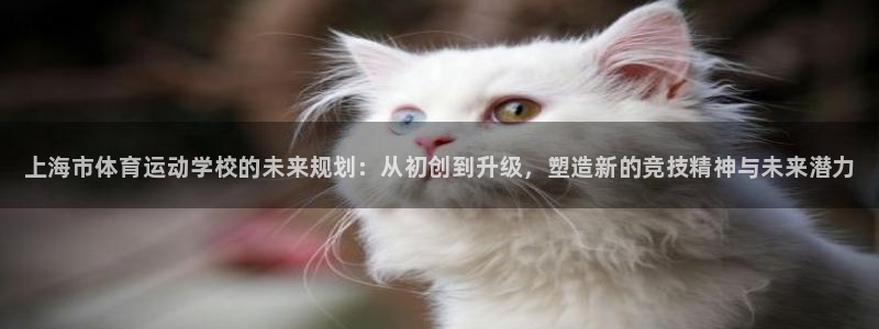 3377体育官网下载娱乐：上海市体育运动学校的未来规
