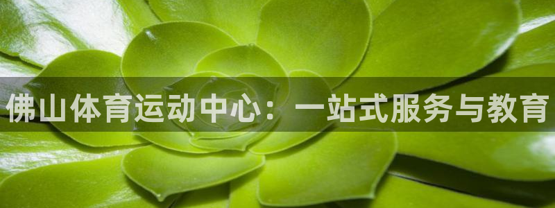 3377体育官网下载平台是正规平台吗知乎：佛山体育运