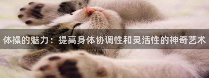 3377体育官方正版app集团官网首页：体操的魅力：