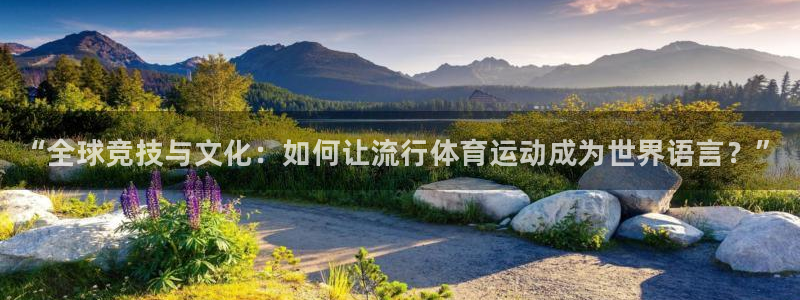 3377体育官网下载招商电话号码是多少啊：“全球竞技与文化：