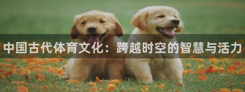 3377体育官网下载平台注册：中国古代体育文化：跨越