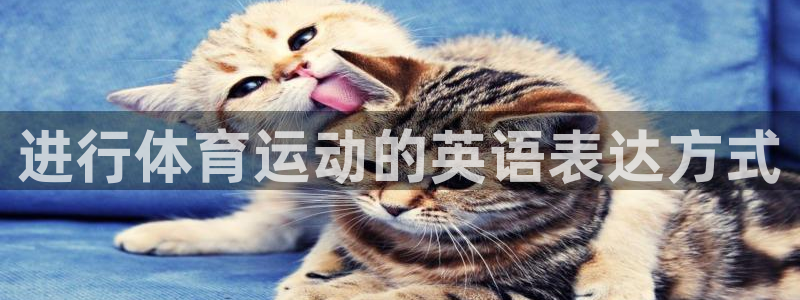 3377体育官网下载招商电话是多少啊：进行体育运动的
