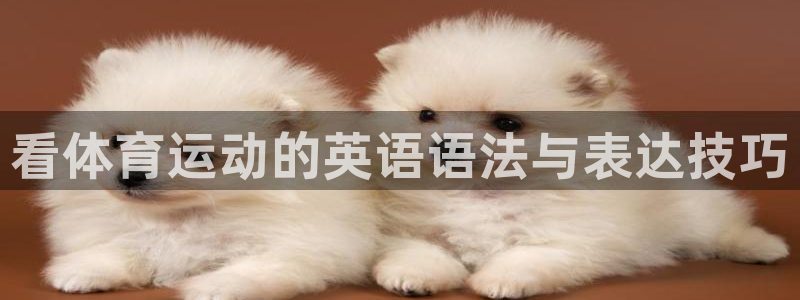 3377体育官网下载平台：看体育运动的英语语法与表达