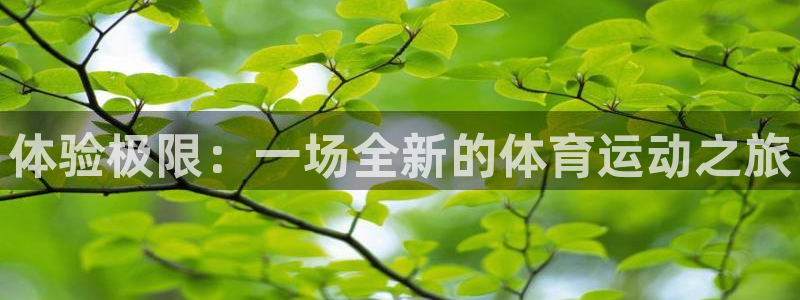 3377体育官网下载招商电话号码查询是多少：体验极限