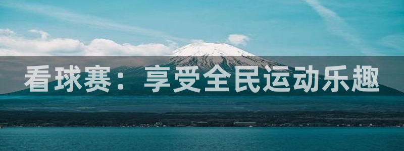 3377体育官方正版app娱乐40996：看球赛：享