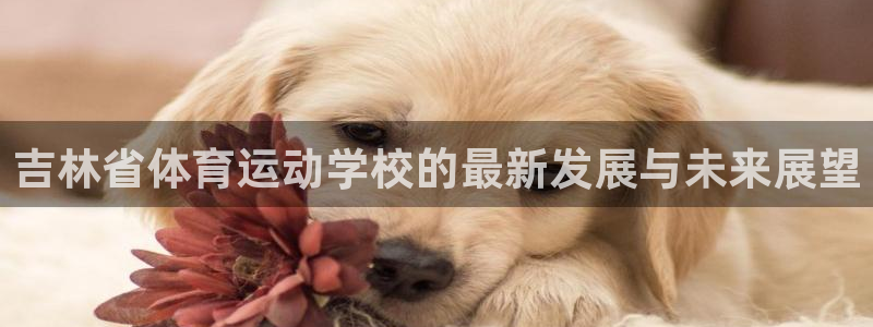 德国3377体育官方正版app集团：吉林省体育运动学