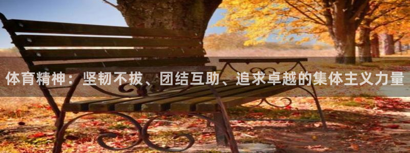 3377体育官网下载平台注册：体育精神：坚韧不拔、团