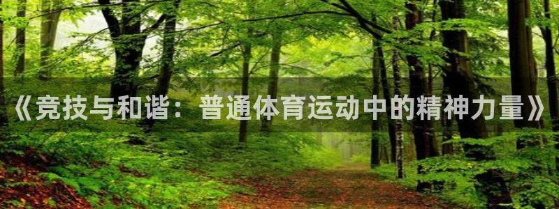 3377体育官网下载平台假的吗是真的吗吗：《竞技与和