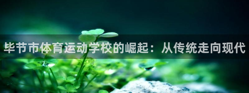 3377体育官网下载平台注册流程视频：毕节市体育运动