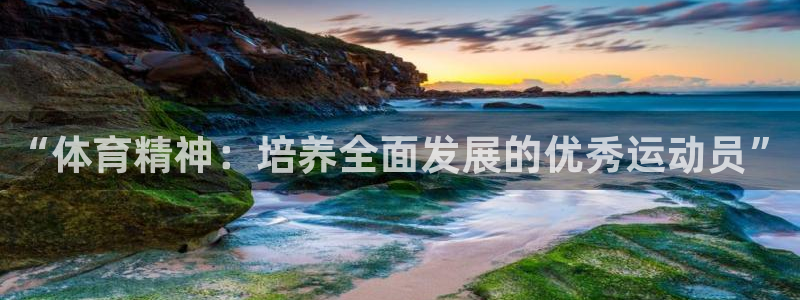 3377体育官网下载平台是正规平台吗：“体育精神：培养全面发