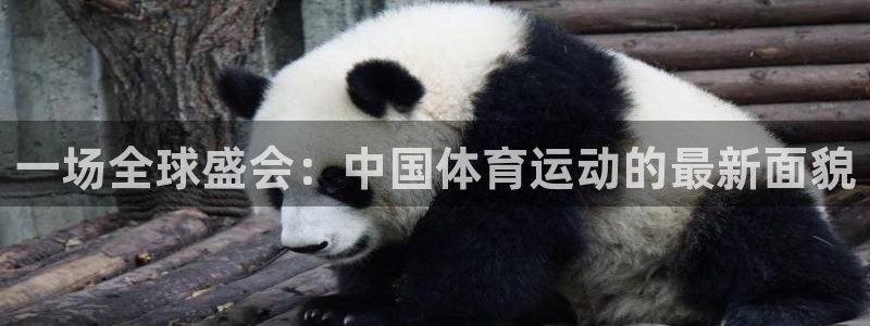 3377体育官网下载平台是正规平台吗：一场全球盛会：中国体育