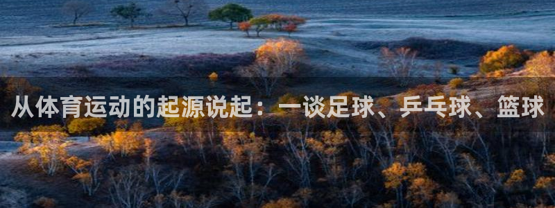 3377体育官方正版app娱乐是那个系列的台子：从体