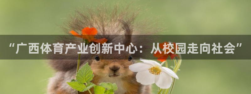 3377体育官网下载招商电话地址是多少：“广西体育产