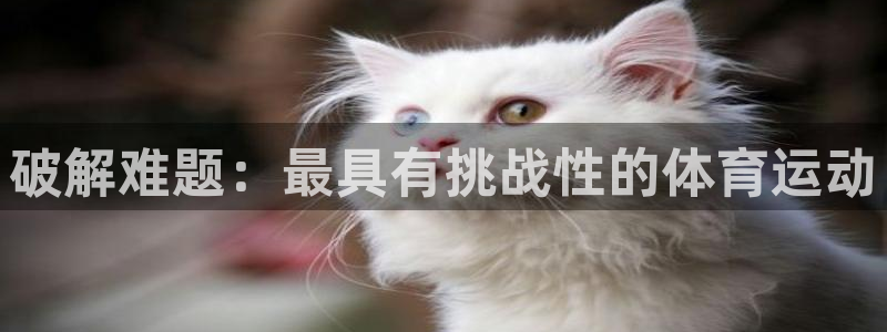 3377体育出款正常不