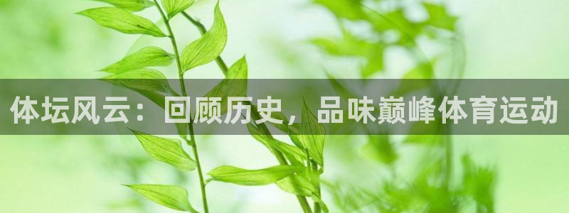  3377体育唯一官方网站：体坛风云：回顾历史，品味巅峰体育运
