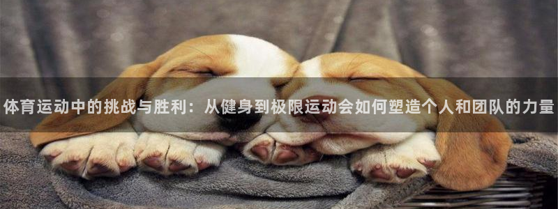 3377体育是什么：体育运动中的挑战与胜利：从健身到极限运动