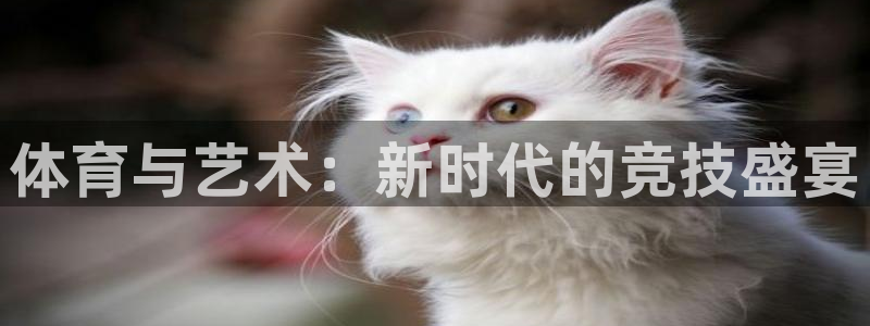 3377体育官网下载：体育与艺术：新