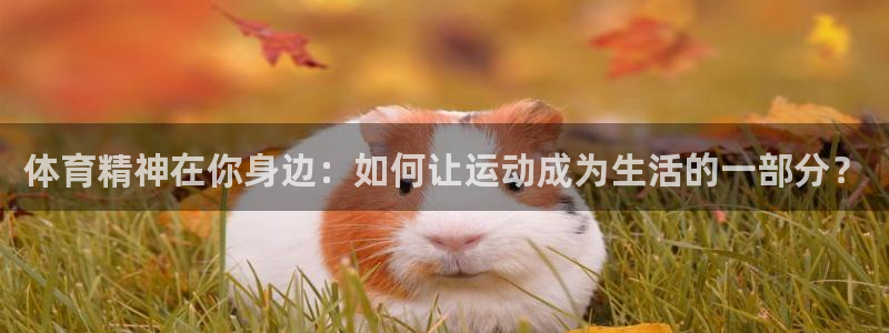 3377体育提款容易通过吗：体育精神在你身边：如何让运动成为