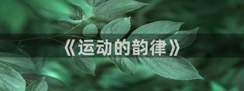 3377体育退款最新政策：《运动的韵
