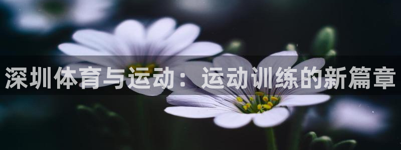 3377体育app倒闭了吗知乎：深圳