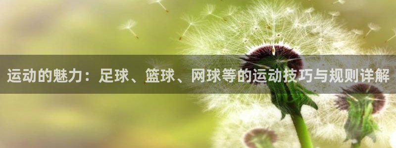 3377体育是正规平台吗：运动的魅力