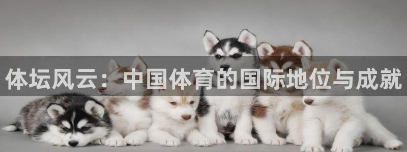 3377体育是诈骗吗：体坛风云：中国体育的国际地位与成就