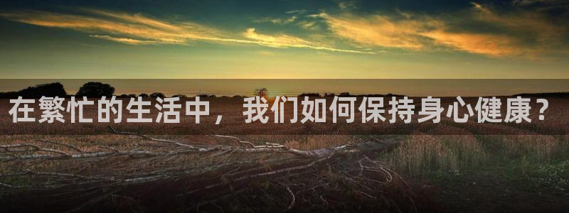 3377体育十大必吃榜：在繁忙的生活