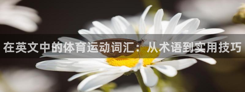  3377体育在线官网：在英文中的体育运动词汇：从术语到实用技