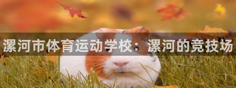 3377体育在哪个国家运营