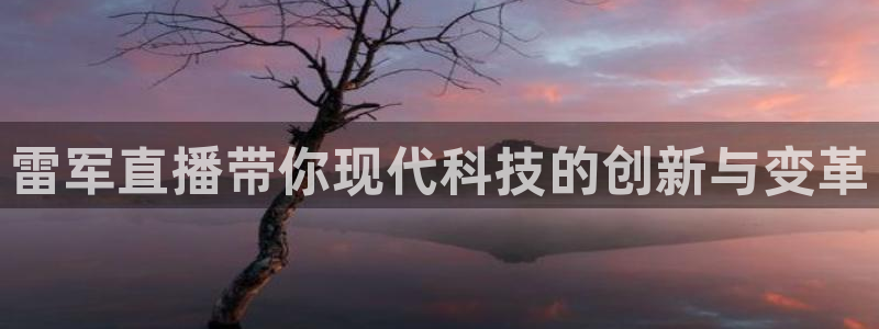 nba雨燕直播免费：雷军直播带你现代科技的创新与变革