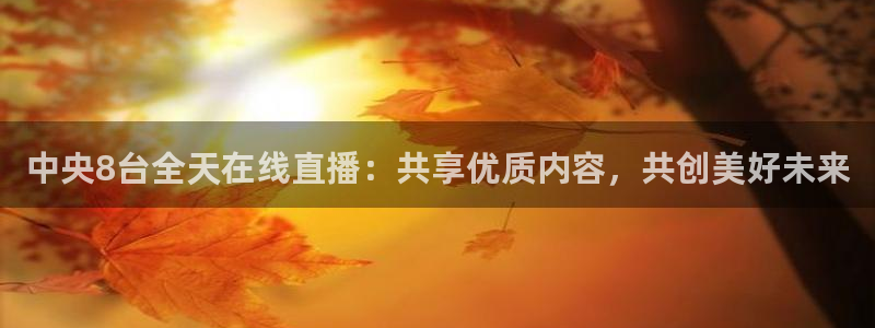 雨燕nba直播网：中央8台全天在线直播：共享优质内容，共创美好未来