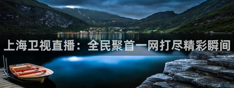 雨燕nba高清免费直播：上海卫视直播：全民聚首一网打尽精彩瞬间
