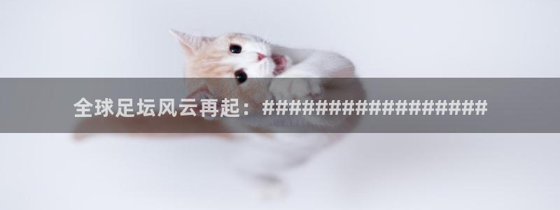 山猫足球直播雨燕直播：全球足坛风云再起：#################
