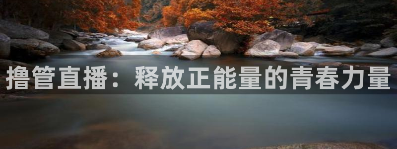 雨燕直播体育免费直播篮球：撸管直播：释放正能量的青春力量