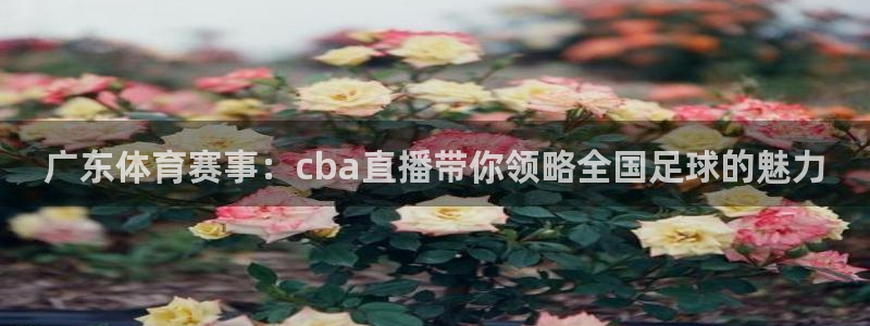 nba直播雨燕体育：广东体育赛事：cba直播带你领略全国足球的魅力