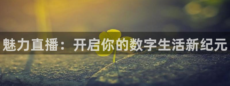 360雨燕直播nba：魅力直播：开启你的数字生活新纪元
